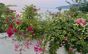 Mundaka Beachfront House